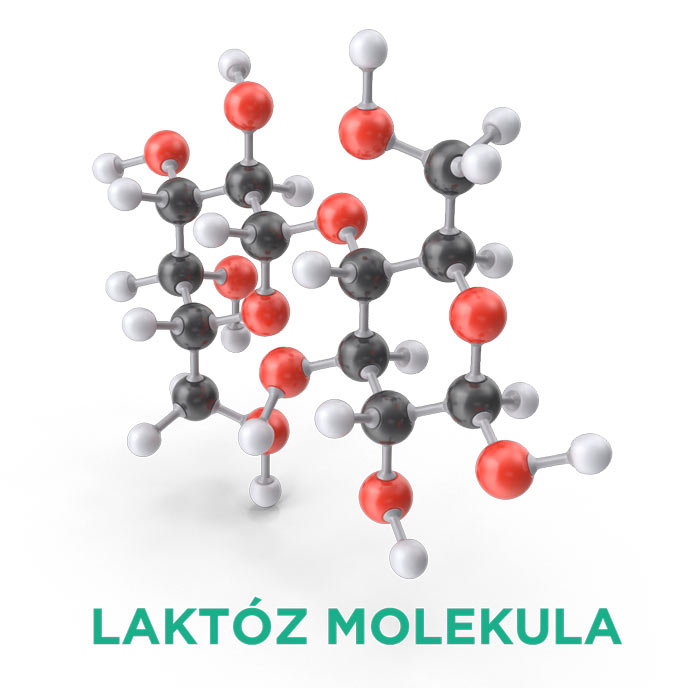 Laktóz molekula