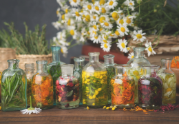 A Herbaferm technológia 5 kulcsfogalma – Fermentációtól a posztbiotikumokig