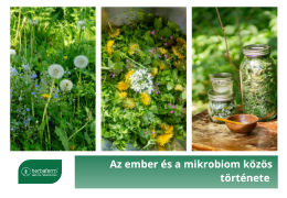 Az ember és a mikrobiom közös története Az ember és a mikrobiom közös története