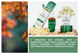 Érzelmi regeneráció és stresszkezelés