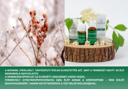 A fény visszatérése – az év legsötétebb napja és a természet bölcsessége