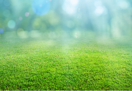 Nem új megoldások, hanem régi ritmusok – a természeteshez visszatalálás Herbaferm nézőpontból