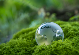 A virom szerepe - A bélrendszer láthatatlan szabályozója