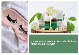 A napi ritmus titka: alvás, döntés és a regeneráció hatalma