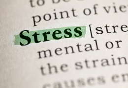 Kortizol és készenléti állapot - Mi történik velünk, amikor a stressz nem múlik el?